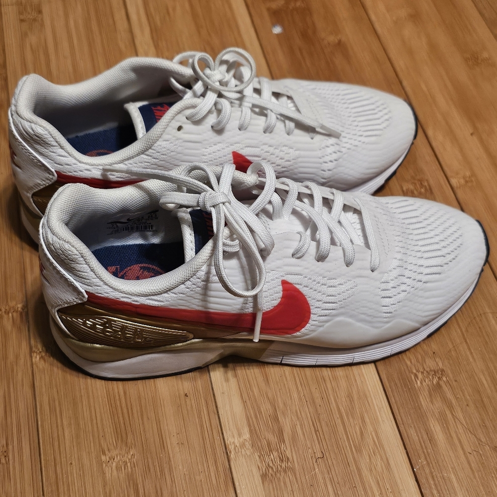 Nike Air Pegasus